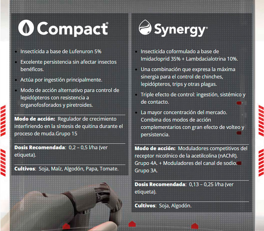 Compact y Synergy