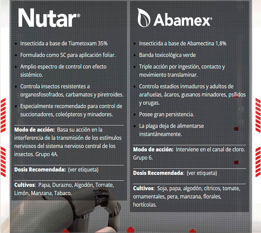 Nutar y Abamex