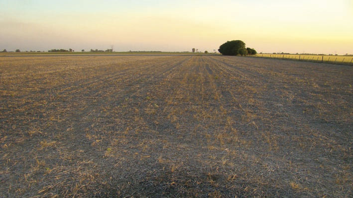 manejo adecuado de las malezas