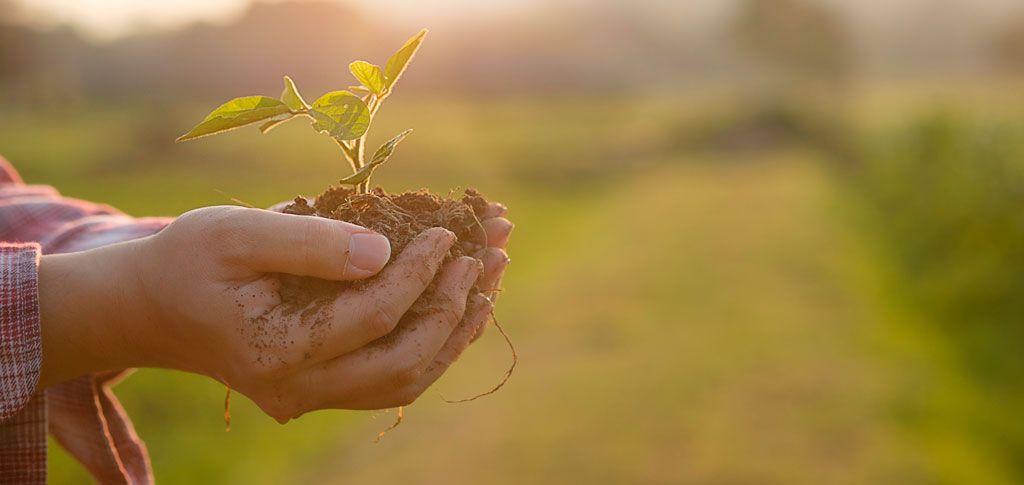 Novedades de la campaña de recuperación de envases vacíos de fitosanitarios de agosto