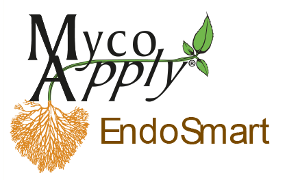 logoEndosmart