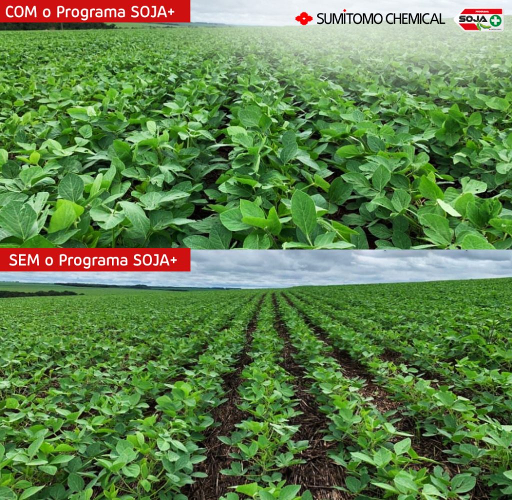 Imagens comparativas do uso do Programa Soja+ da Sumitomo Chemical. 
