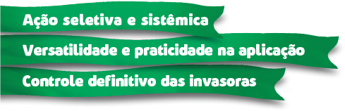 Ação seletiva e sistêmica, versatilidade e praticidade na aplicação, controle definitivo das invasoras.