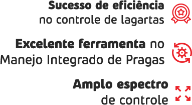 Sucesso de eficiência no controle de lagartas.