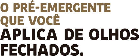 O pré-emergente que você aplica de olhos fechados.