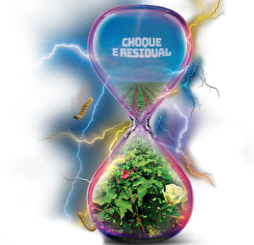 ILUSTRACAO_DESKTOP_algodao