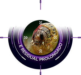 Choque e residual prolongado