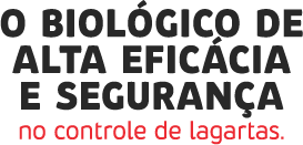 O biológico de alta eficácia e segurança no controle de lagartas.