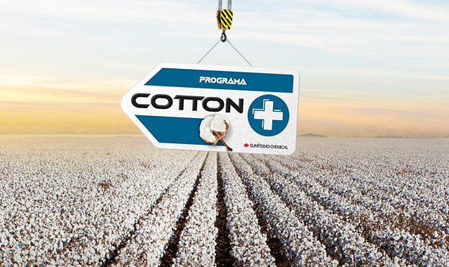 Programa Cotton+ Sumitomo Chemical
