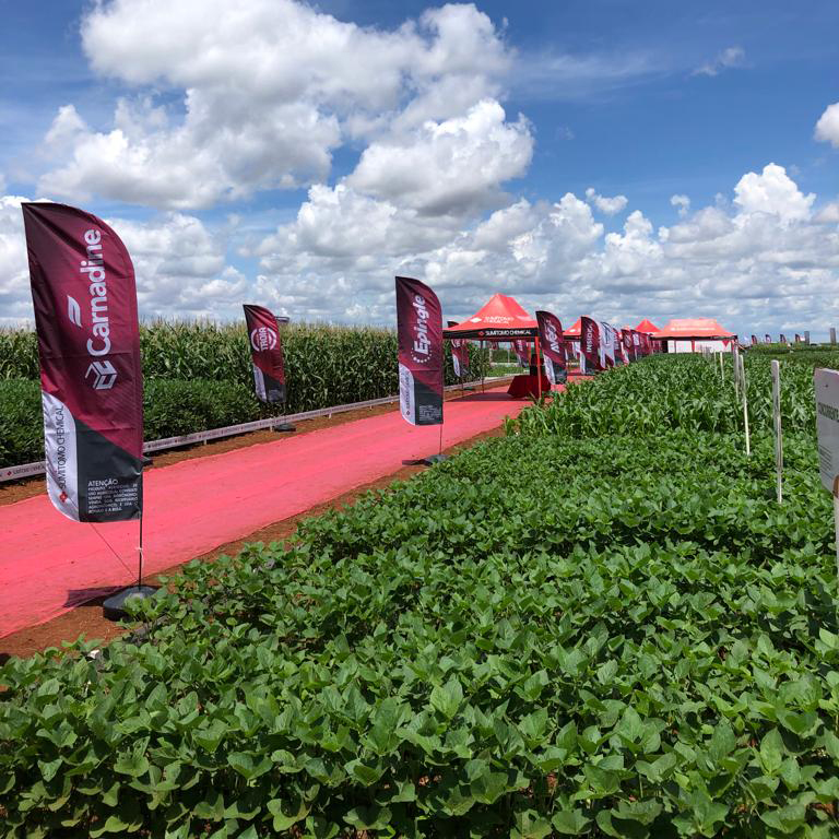 Ambiente aberto com lotes de plantações ao redor de um corredor vermelho que leva aos estandes de palestras.