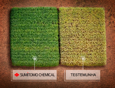 Comparativo de uso de produtos Sumitomo Chemical.