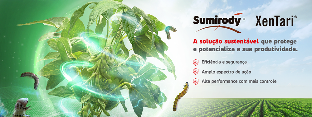 Destaque de uma planta de soja com efeitos de proteção de inseticidas e uma plantação de soja ao fundo.