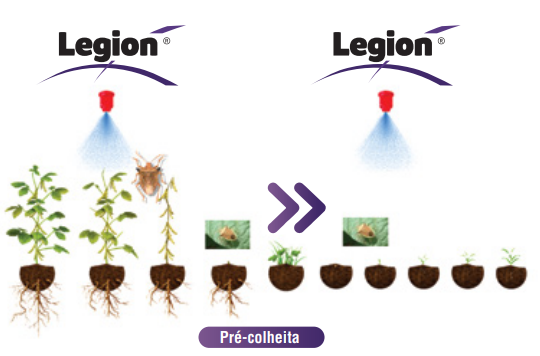 Desenho esquemático de sistema de produção Pré- colheita Legion