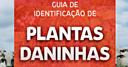 Guia de Identificação de Plantas Daninhas é mais uma iniciativa da Sumitomo Chemical em busca da pastagem de excelência