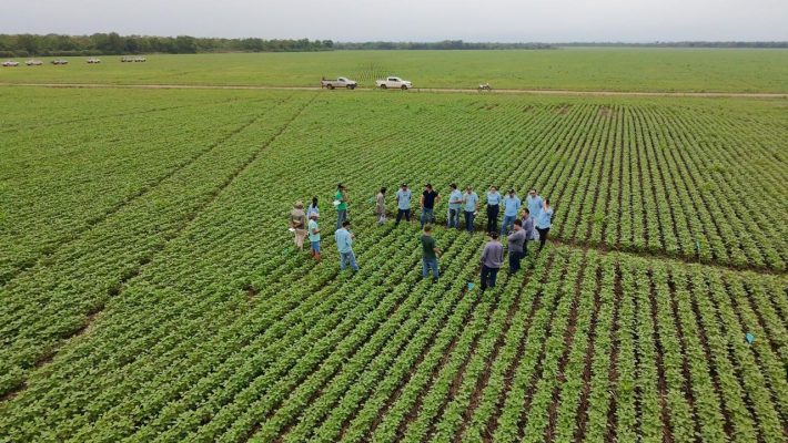Sumitomo Chemical expande Expedição da Produtividade e já alcança mais de 5 milhões de hectares visitados no BR Sumitomo Chemical expande Expedição da Produtividade e já alcança mais de 5 milhões de hectares visitados no BR
