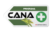 Cana+ e o futuro da cana-de-açúcar sustentável