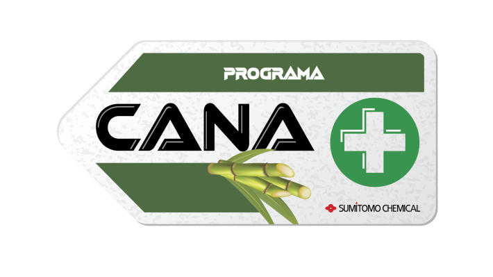 Cana  e o futuro da cana-de-açúcar sustentável