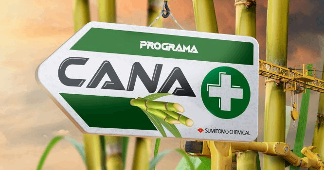 Cana+ e o futuro da cana-de-açúcar sustentável Cana+ e o futuro da cana-de-açúcar sustentável