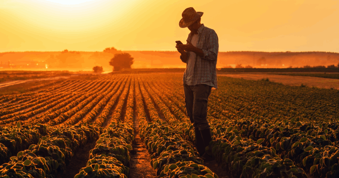 homem no campo utilizando o melhor herbicida
