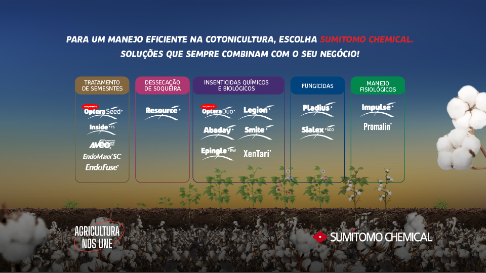 Soluções Fenologia do Algodão